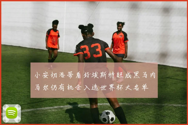 小安切洛蒂看好埃斯特旺成黑马内马尔仍有机会入选世界杯大名单