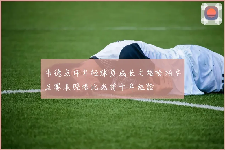 韦德点评年轻球员成长之路哈珀季后赛表现堪比老将十年经验