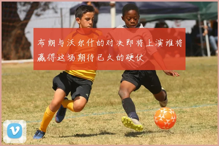 布朗与沃尔什的对决即将上演谁将赢得这场期待已久的硬仗